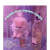 Gatos.anonimos 8