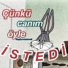Çünkü canım öyle Neptunesmood İSTEDİ