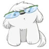 Cute dog 12