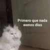 Vainas randoms 💊🧀🧩 27