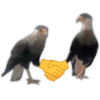 MEMES Rck 27 16