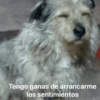 Pensamientos 3😅🤣 13