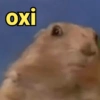 Salva aí pra reagir 13