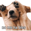 no me ha bles