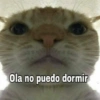 Chipost Del Chido ? 8