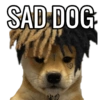 MEMES ALEATÓRIOS 6