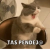 Michis pt.2 12