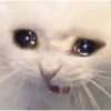 Meme triste 18