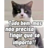 Tudo bem, mas não precisa fingir que se importa!!