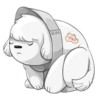 Cute dog 22