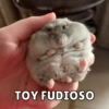 Animalitos🐾🥰 8