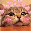 MEMES DE ❤️ 6