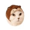 Cats Chapter 1 13