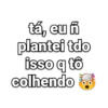FRASES CANTADAS E DEBOCHE 14