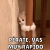 Michis pt.2 6