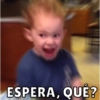 Gavin 6