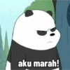 Ice bear my luvv 8