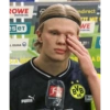 Haaland 24