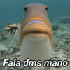 Fala dms mano