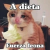 🧿Fuerza Leona💪🏻🦁 15
