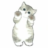 Gatitos <33 19