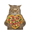 Kucing 12