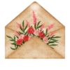 Floral 20