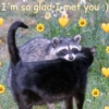 🐼🗑🦝 Raccoons l 🦝 🗑 🐼  23