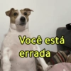 Você está errada
