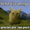 feliz dia amigo gracias por tan poco