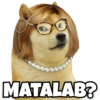 Funny Dogs 15