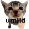 Cats (1/4) 17