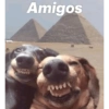 Amigos