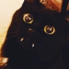 BLACKI BLACKI✧\(>o<)ﾉ✧ 4