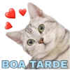 MEMES INCRÍVEIS 8