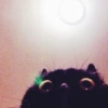 BLACKI BLACKI✧\(>o<)ﾉ✧ 5