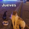 Rreacciones para JUEVES 4 12