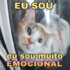 Chicória Maria #3 16
