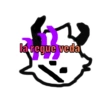 ElseleverxD 28