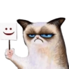 🐱🐾🐈 Cats l 🐈🐾🐱 9