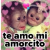 ❤️ Changuitos enamorados 💘 9