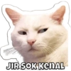 Anomali Binatang 15