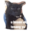 Guji Gosong Kitty 13