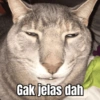 MEME KUCING 🐱 12