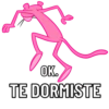 PINK PANTHER 13