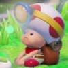 Toad 11