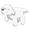Cute dog 29