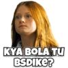 Harry Potter 13