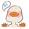 The duck 11