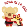 Lunar New Year Cubby 13